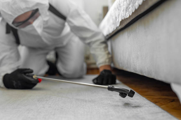 Professional Rodent Control technician working in Santa Rosa Valley, CA