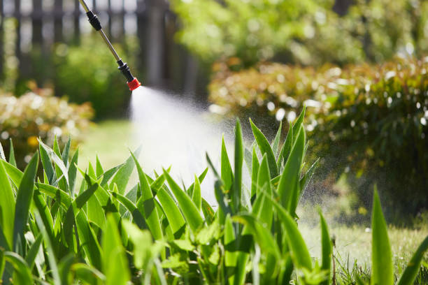 24/7 Emergency Rodent Control experts in Santa Rosa Valley, CA