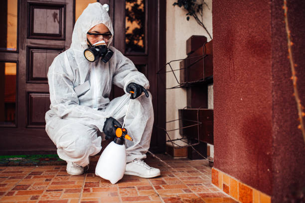Reliable Rodent Control contractor in Santa Rosa Valley, CA by Nex Pest Control