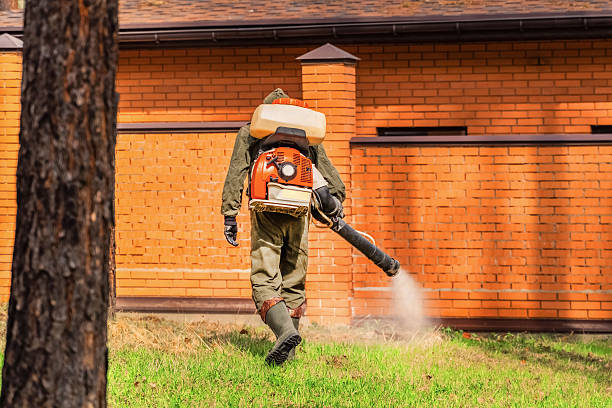 Trusted Mosquito Control service in Santa Rosa Valley, CA - Nex Pest Control